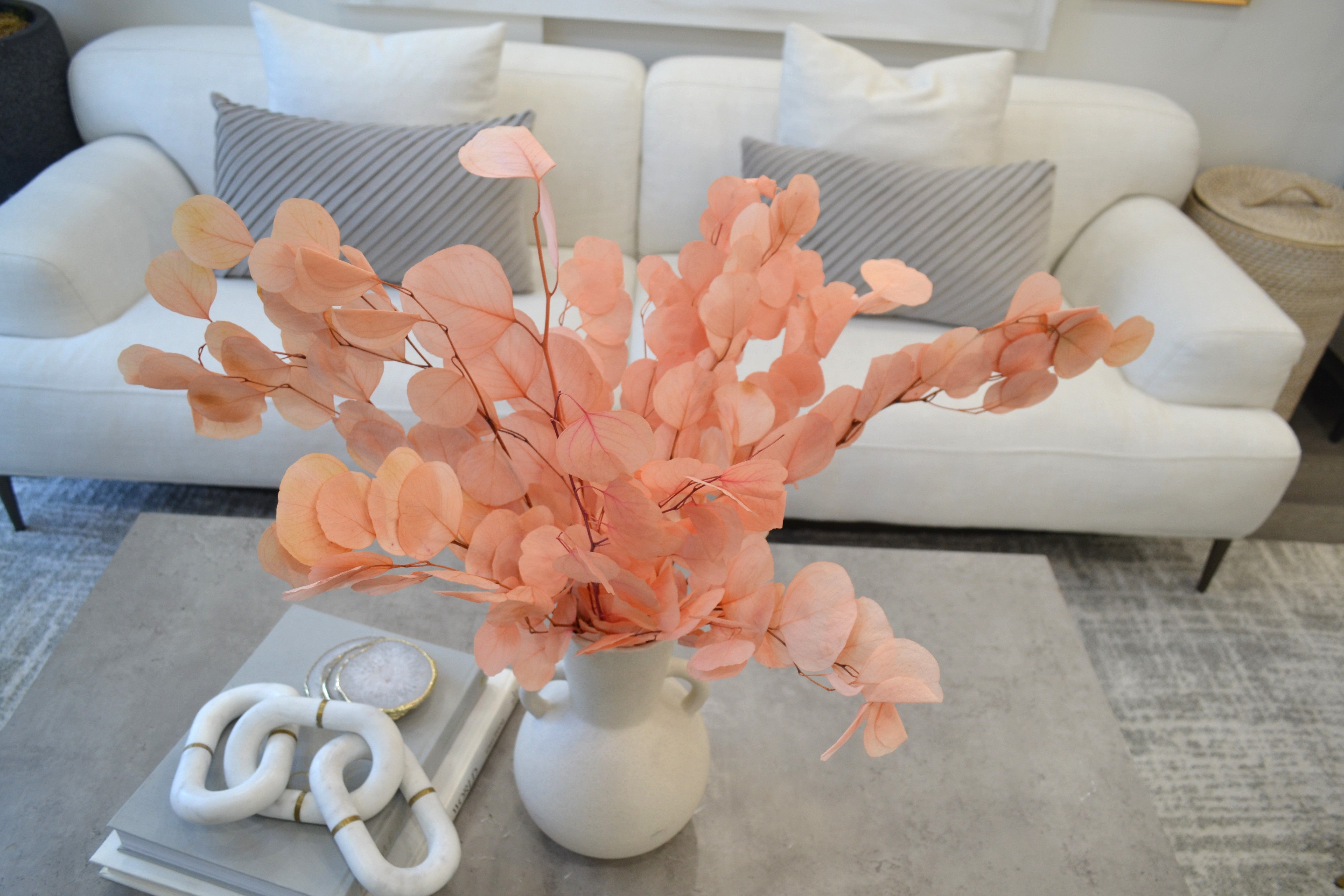 Silver Dollar Eucalyptus